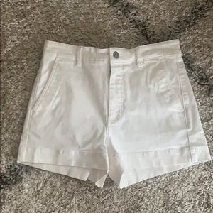 Everlane cotton twill shorts
